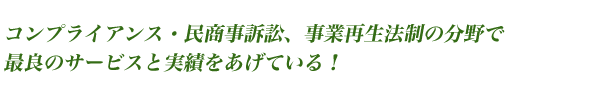コンプライアンス・民商事訴訟、事業再生法制の分野で最良のサービスと実績をあげている！