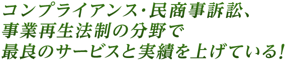 コンプライアンス･民商事訴訟､事業再生法制の分野で最良のサービスと実績を上げている！